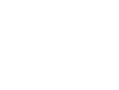 Teachers in Space Logo